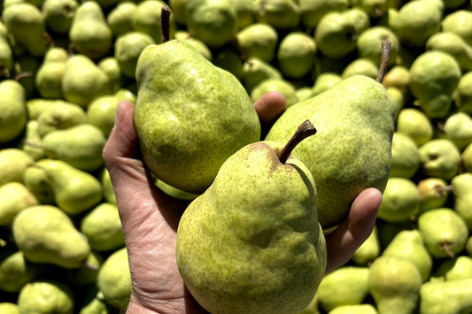 Calling All Pear-Lovers: It’s Almost Time 🍐