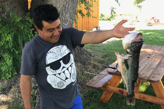 Summer Fun Before the Harvest! 🐟🍐🍎