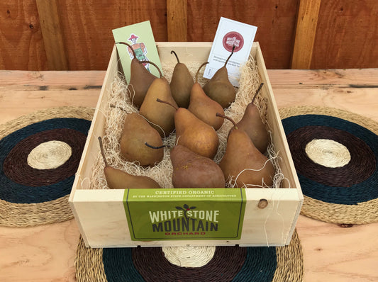 Holiday pear box